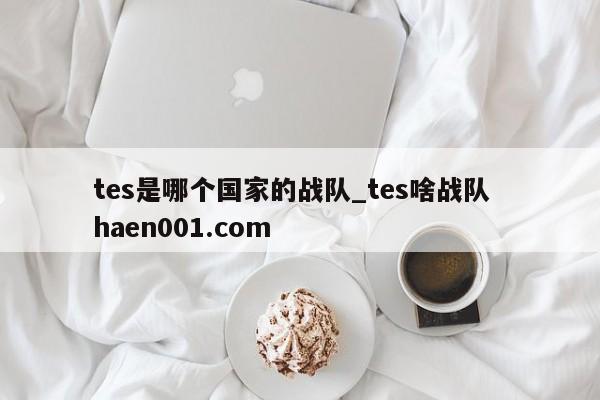 tes是哪个国家的战队_tes啥战队  haen001.com