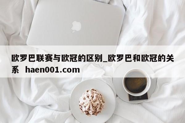 欧罗巴联赛与欧冠的区别_欧罗巴和欧冠的关系  haen001.com